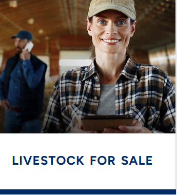 For Sale Livestock image